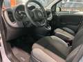 Fiat Panda Panda 1.0 firefly hybrid - Car play Gris - thumbnail 7