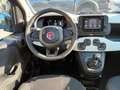 Fiat Panda 1000 HYBRID PANDINA 70 CV CARPLAY PDC ITALIA Blau - thumbnail 11