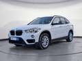 BMW X1 xDrive20i Steptronic AHK Rückfahrkamera Weiß - thumbnail 2