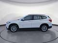 BMW X1 xDrive20i Steptronic AHK Rückfahrkamera Weiß - thumbnail 3