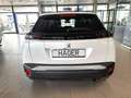 Peugeot 2008 ALLURE PureTec 100 Sitzheizung EPH/Kamera DAB Navi Weiß - thumbnail 10