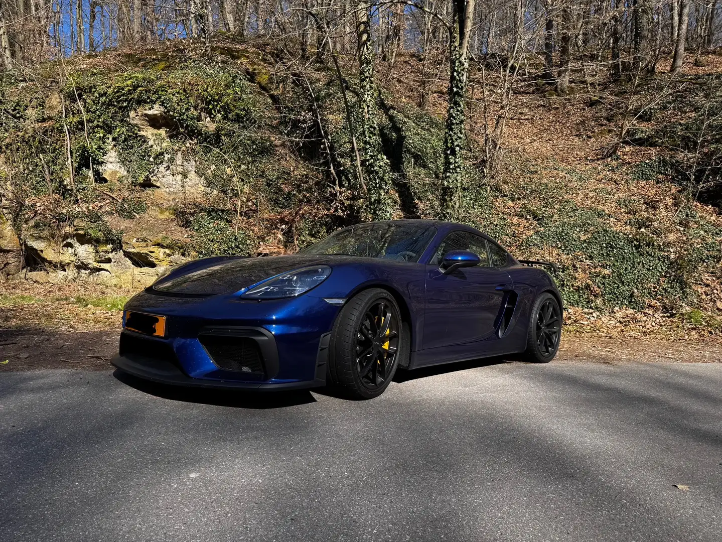 Porsche 718 GT4 Bleu - 1