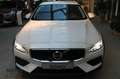 Volvo V60 Cross Country Plus AWD Alb - thumbnail 2