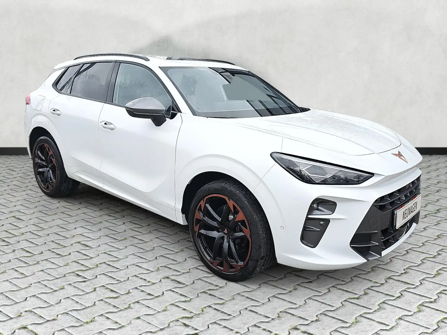 CUPRA Terramar VZ 2.0 TSI DSG 4Drive AHK Leder Standh. Blanc - 2