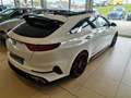 Kia ProCeed / pro_cee'd 1.6 TGDI  DCT GT FUGEL SPORT Weiß - thumbnail 5