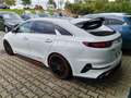 Kia ProCeed / pro_cee'd 1.6 TGDI  DCT GT FUGEL SPORT Weiß - thumbnail 6