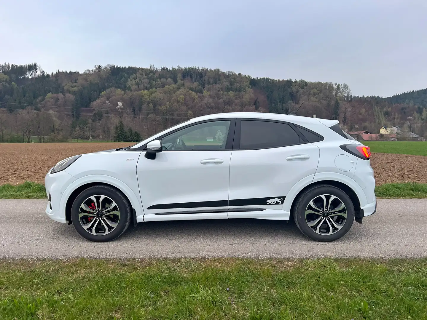 Ford Puma Puma 1,0 EcoBoost Hybrid ST-Line Design ST-Line De Weiß - 2