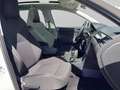 Skoda Sonstige Rapid SB Ambition 1,2l TSI 77kW 6-Gang-Climatronic Weiß - thumbnail 17