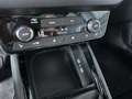 Skoda Kamiq Monte Carlo 1,5TSI DSG AHK Kamera Matrix Gris - thumbnail 14