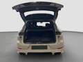 Porsche Cayenne E-Hybrid PanoSD HUD Bose 1. Hand ACC Weiß - thumbnail 9