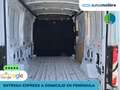 Ford Transit FT 350 L2 Van MHEV Trend Tracción Trasera Bianco - thumbnail 7