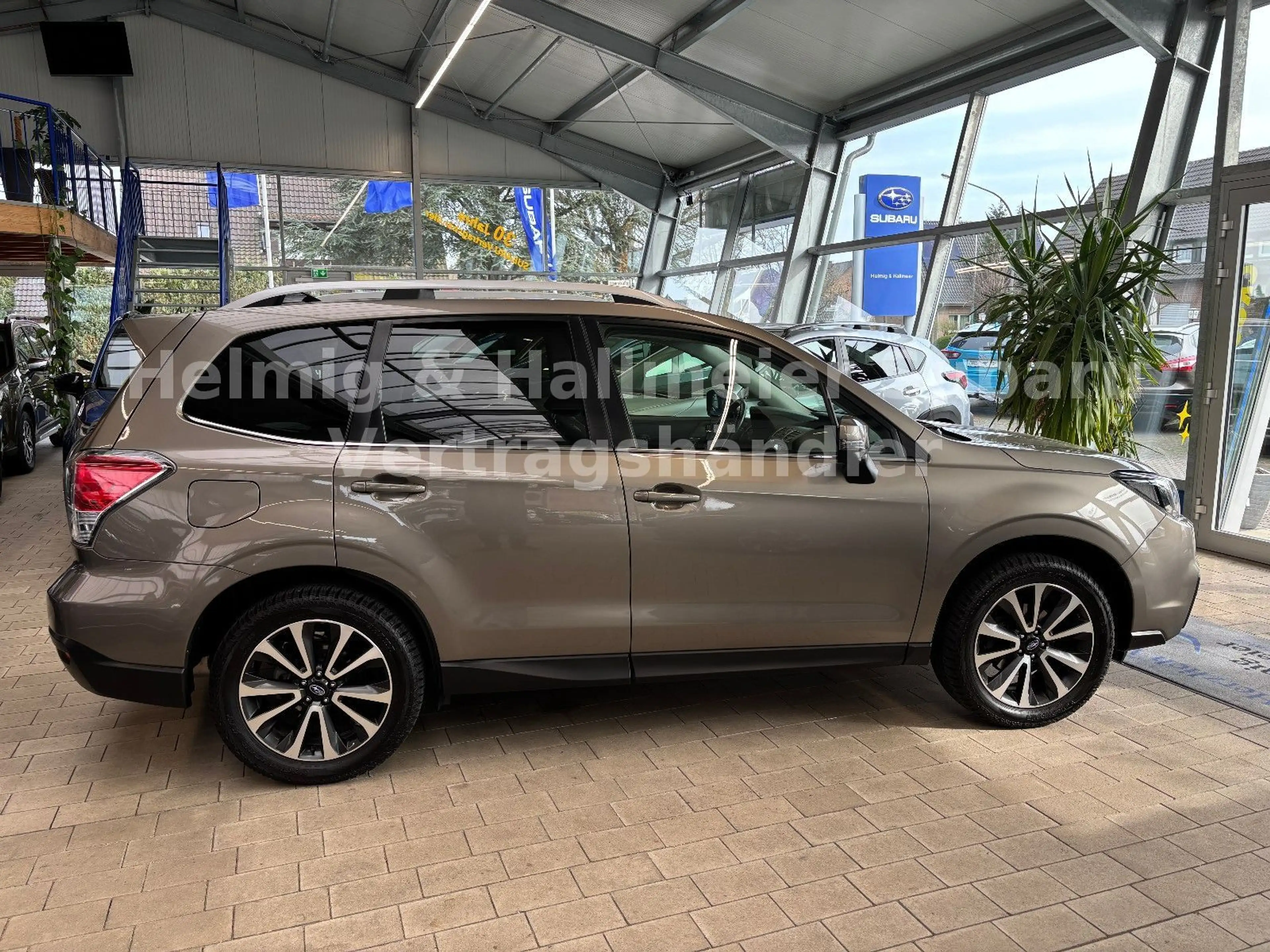 Subaru Forester Platinum Leder , Navi, Panoramadach — photo 3
