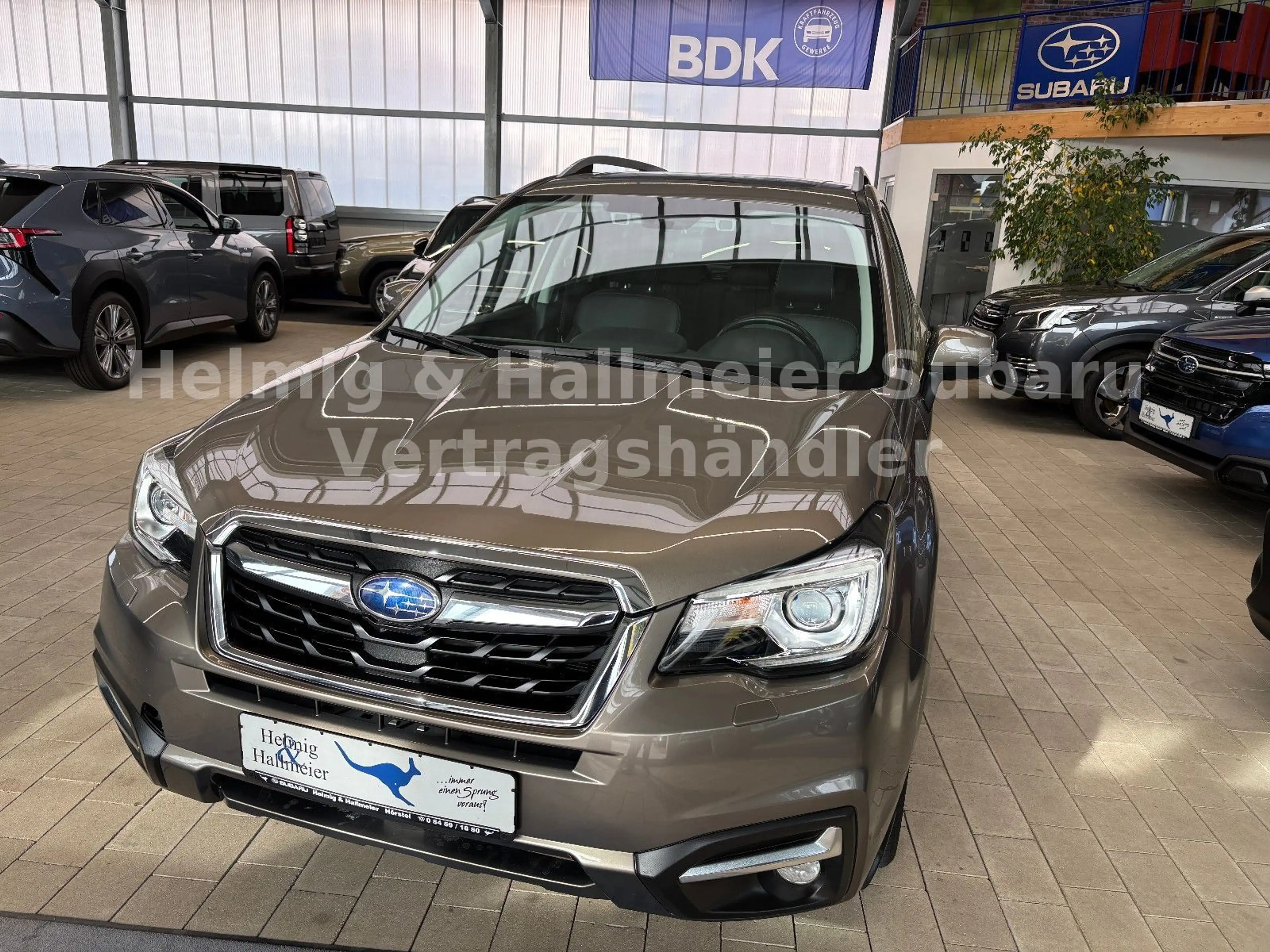 Subaru Forester Platinum Leder , Navi, Panoramadach — photo 2