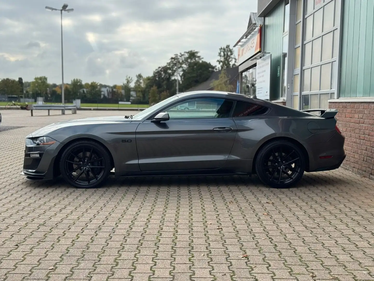 Ford Mustang GT 5,0 V8 Handschaltung Gris - 2