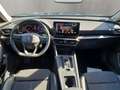 CUPRA Formentor 1.5 TSI  360 Kamera AHK Rückfahrkamera Grau - thumbnail 13