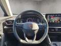 CUPRA Formentor 1.5 TSI  360 Kamera AHK Rückfahrkamera Grau - thumbnail 10
