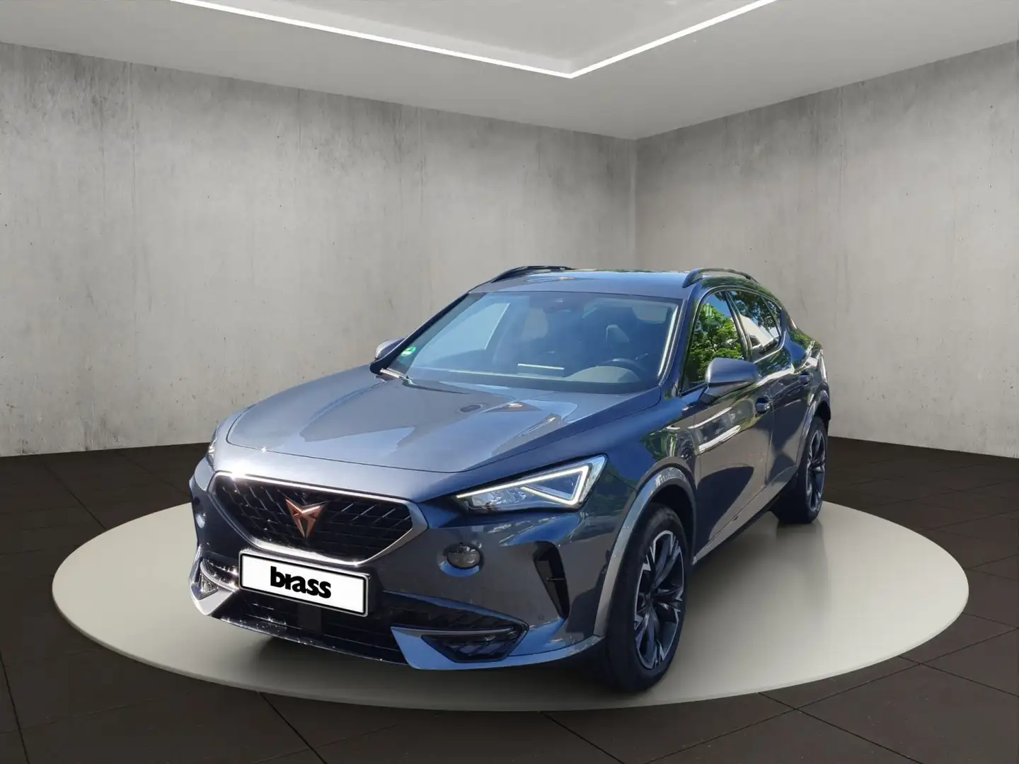 CUPRA Formentor 1.5 TSI  360 Kamera AHK Rückfahrkamera Grau - 1