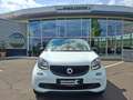 smart forFour smart forfour Passion * PANORAMADACH Schwarz - thumbnail 4