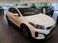 Kia XCeed Xceed 1,0 TGDI GPF Silber Modell 26 115 PS Weiß - thumbnail 4