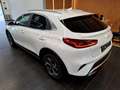 Kia XCeed Xceed 1,0 TGDI GPF Silber Modell 26 115 PS Weiß - thumbnail 2