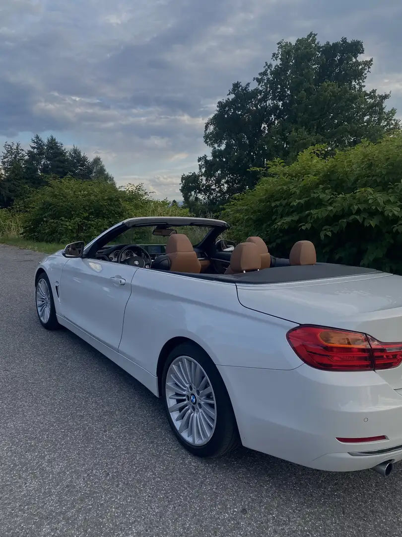 BMW 420 Cabrio *LUXURY LINE* Weiß - 2