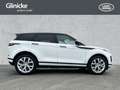 Land Rover Range Rover Evoque P300e R-Dyn SE BalckPack Wint White - thumbnail 6