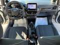 Ford Fiesta Fiesta Il 1.1 Business Gpl 75cv my20.75 Argent - thumbnail 14