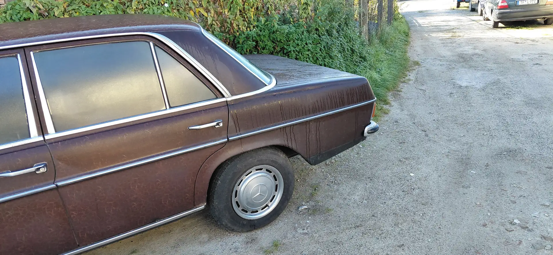 Mercedes-Benz W 114/115 Strich-Acht 220D Braun - 1