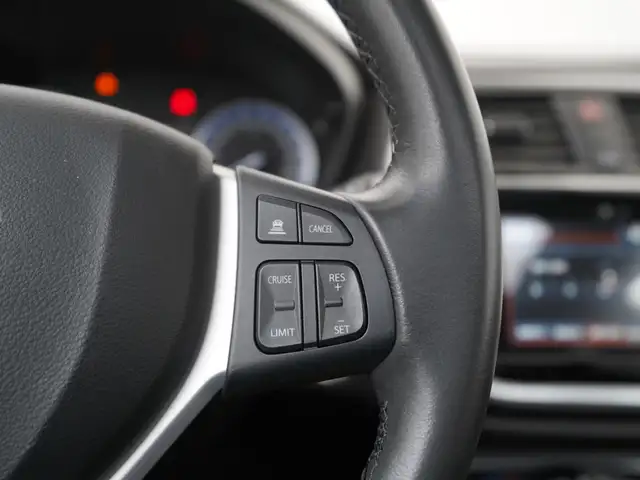 Suzuki S-Cross view 9