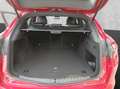 Alfa Romeo Stelvio Ti Q4 2.0 Turbo 16V +KeyLess+Kam.+SHZ Rot - thumbnail 15