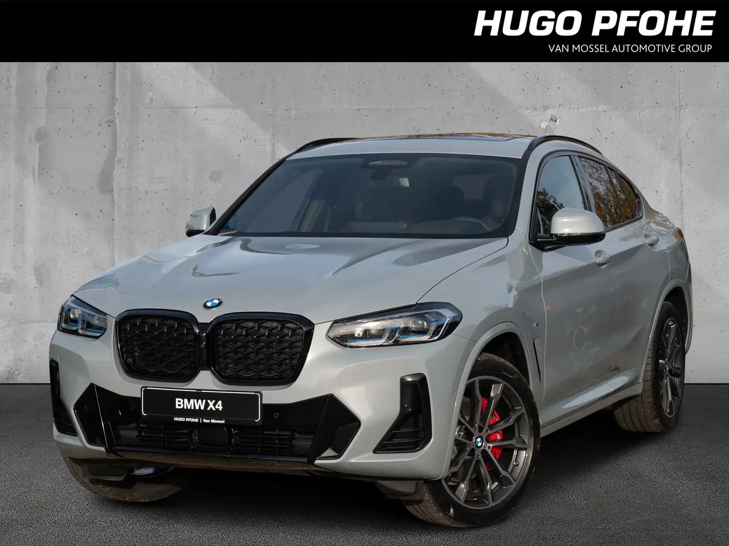 BMW X4 xDrive30d. M Paket. Innovation. Laser Gris - 1