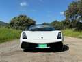 Lamborghini Gallardo Spider 5.0 520 e-gear White - thumbnail 8