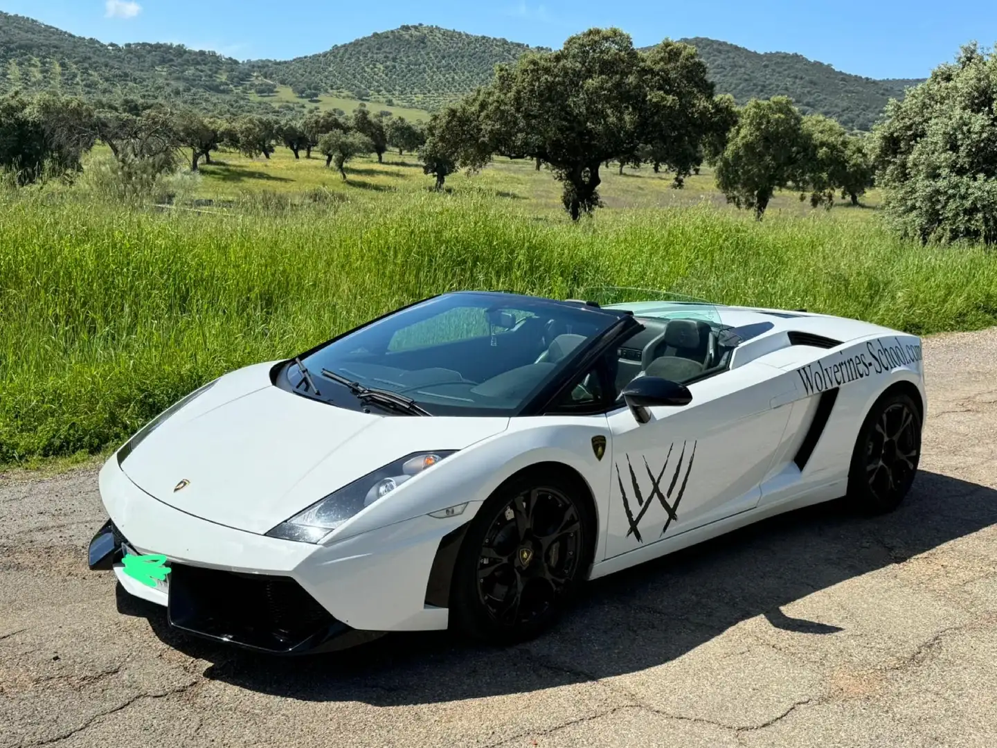 Lamborghini Gallardo Spider 5.0 520 e-gear Wit - 1