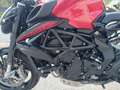 MV Agusta Brutale 800 800 RR ROSSO Rosso - thumbnail 13
