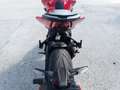 MV Agusta Brutale 800 800 RR ROSSO Rosso - thumbnail 12
