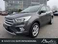 Ford Kuga COOL & CONNECT/BI-XENON/NAVI/KLIMA/1.HNAD Grey - thumbnail 1