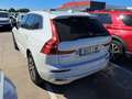 Volvo XC60 T6 Recharge Inscription Expression Blanco - thumbnail 6