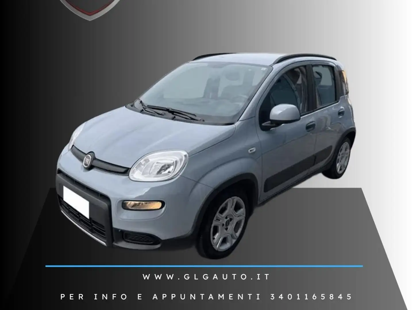 Fiat Panda Panda 1.0 firefly hybrid City Life s Argento - 1