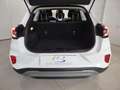 Ford Puma 1.0 EcoBoost Hybrid 125 CV S&S Titanium Wit - thumbnail 10