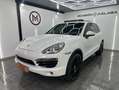 Porsche Cayenne 3.0 TD Platinum Edition Tiptronic Nacional Full Eq Blanco - thumbnail 1
