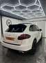 Porsche Cayenne 3.0 TD Platinum Edition Tiptronic Nacional Full Eq Blanco - thumbnail 4