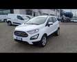 Ford EcoSport - 1.0 EcoBoost 100 CV Plus Blanc - thumbnail 31