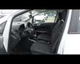 Ford EcoSport - 1.0 EcoBoost 100 CV Plus Blanc - thumbnail 25