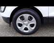 Ford EcoSport - 1.0 EcoBoost 100 CV Plus Blanc - thumbnail 30