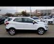 Ford EcoSport - 1.0 EcoBoost 100 CV Plus Blanc - thumbnail 35