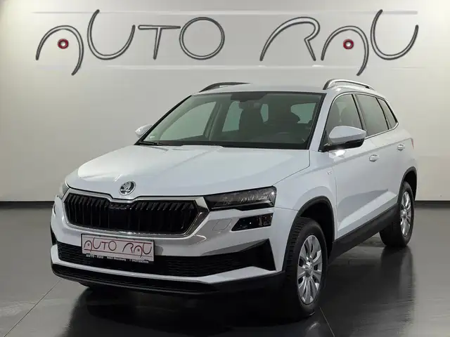 Skoda Karoq 2.0 TDI Tour 4x4 DSG *LED*NAVI*RFK*