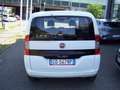 Fiat Qubo 1.3 Mjet 95 cv  Autocarro N1 Bianco - thumbnail 5