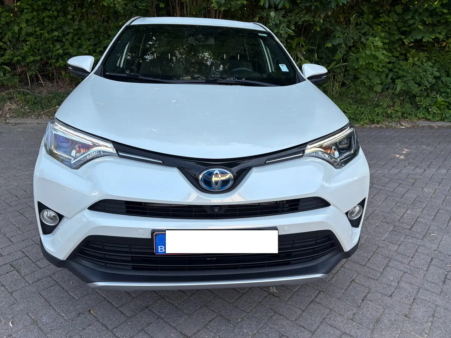 Toyota RAV 4 RAV 4 2.5 4x2 Hybrid Edition-S Blanc - 1