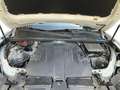 Volkswagen Touareg 3.0 V6 TDI SCR Elegance Blanc - thumbnail 13