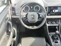 Skoda Karoq 1,0 TSI Style mit AHK Grau - thumbnail 20
